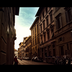 Florence at Sunset, by Ann Alexander Studios