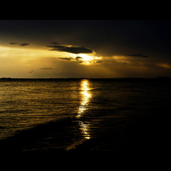 Golden Sea, by Ann Alexander Studios